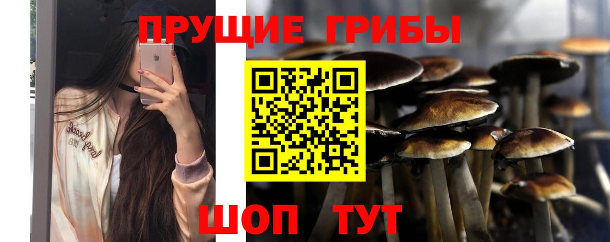 Галлюциногенные грибы Magic Shrooms  Вход с VPN  Мурино 