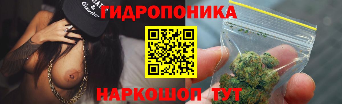 Канабис гибрид Мурино